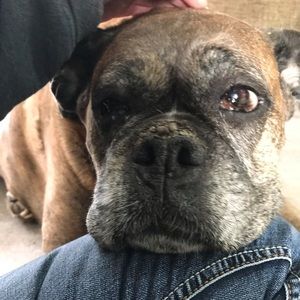 Meet your Posher, Angela